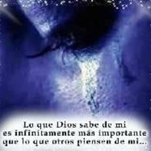 Meet your Posher, Bertha